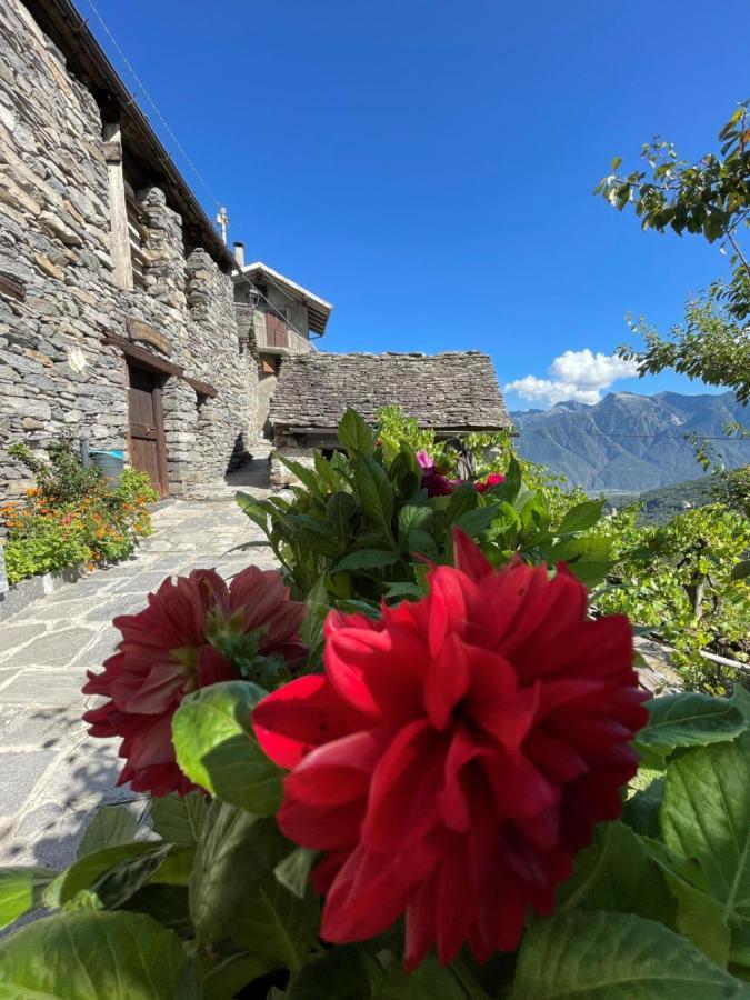Casa Vacanze La Carbunera Villa Domodossola Kültér fotó